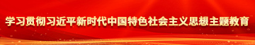 国家5a级大片美女疯狂被操学习贯彻习近平新时代中国特色社会主义思想主题教育