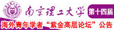 草逼啊啊啊到南京理工大学第十四届海外青年学者紫金论坛诚邀海内外英才！